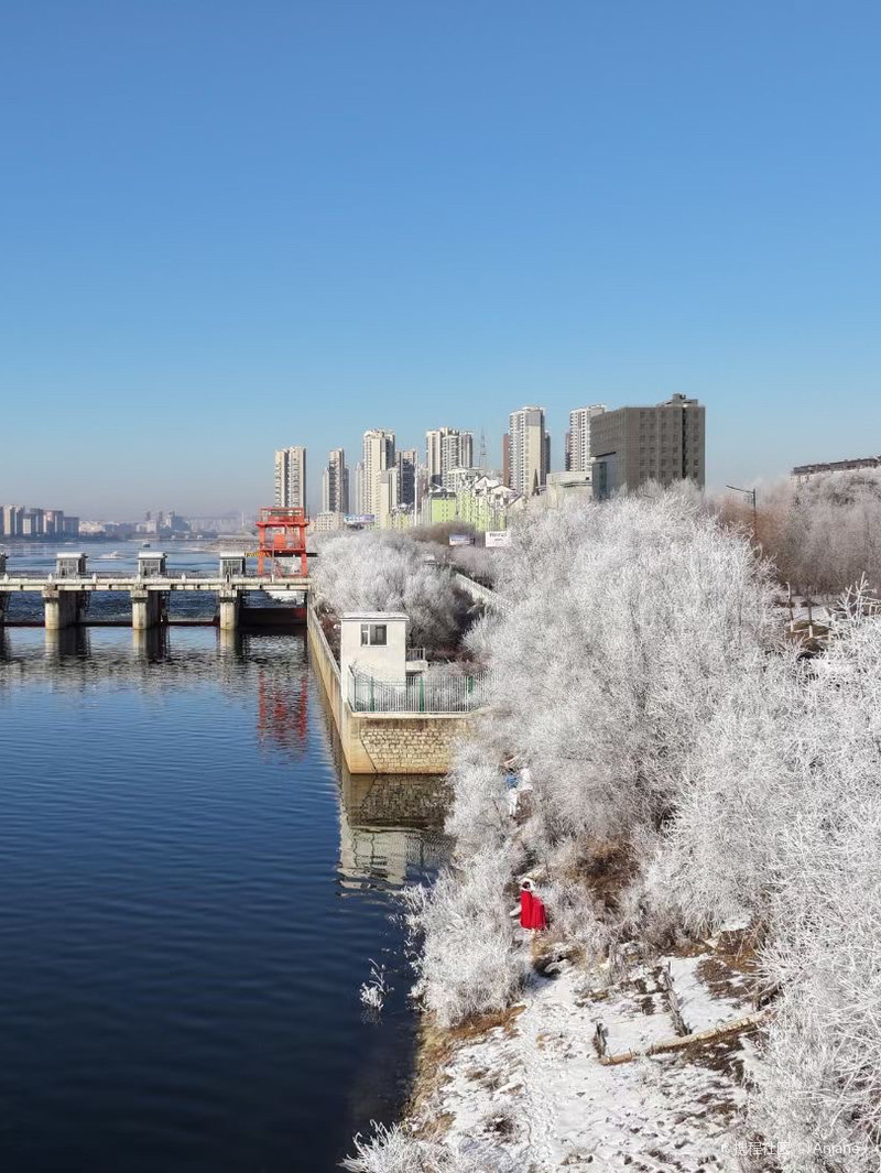 吉林深巷中的秘密花园，揭秘一家隐匿的特色小店